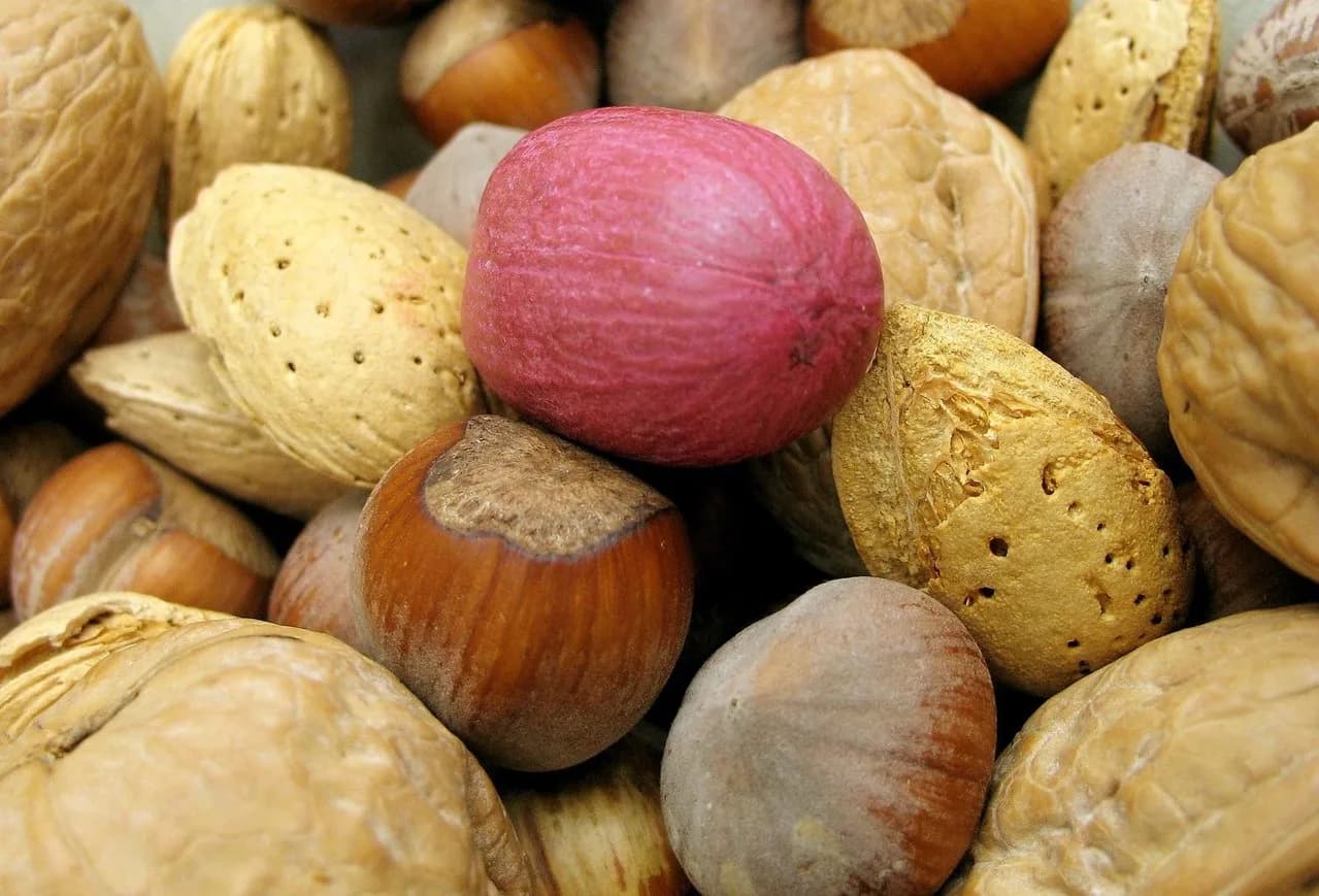 Important Info on Eating Excess Protein